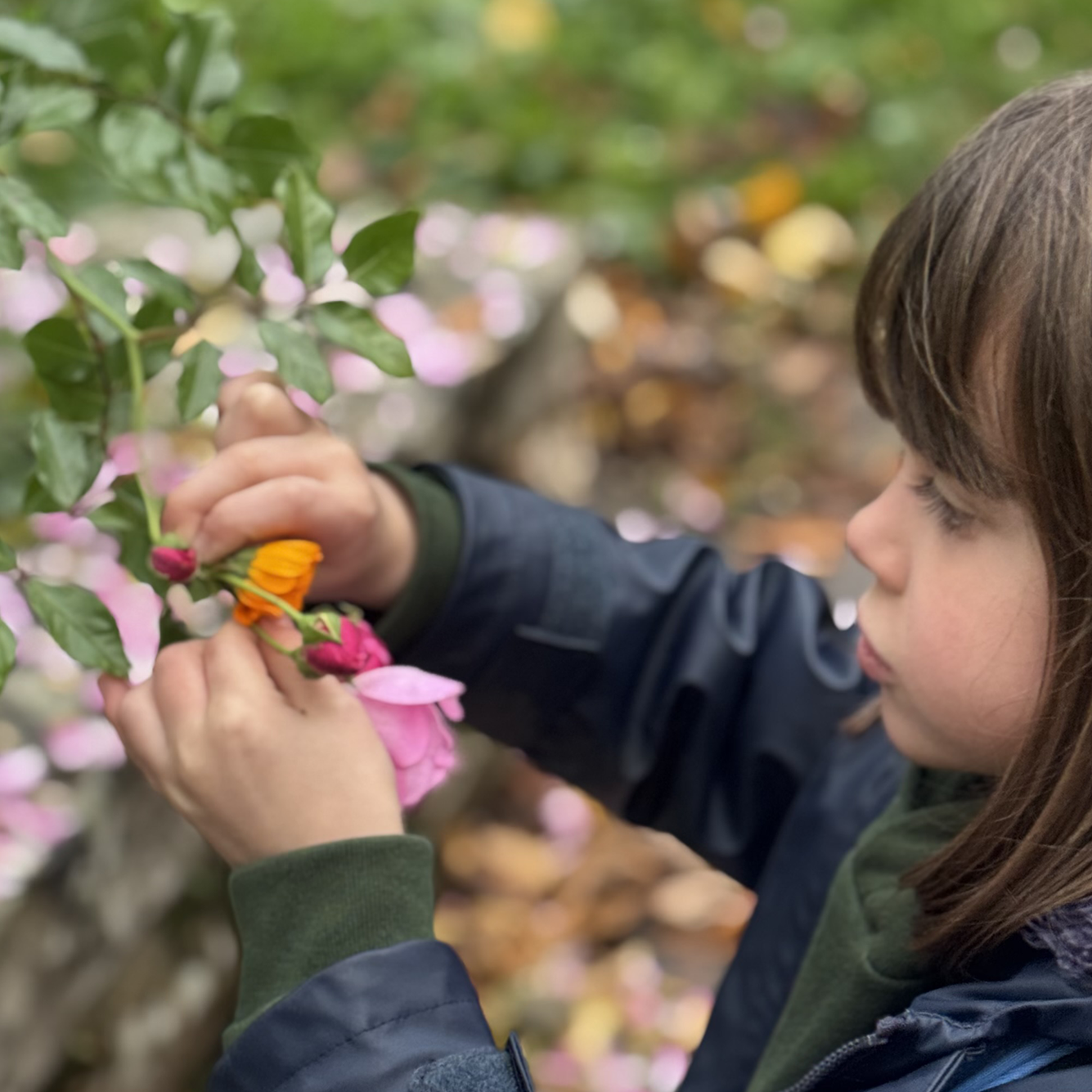 Berko WAC Deep Banner 4