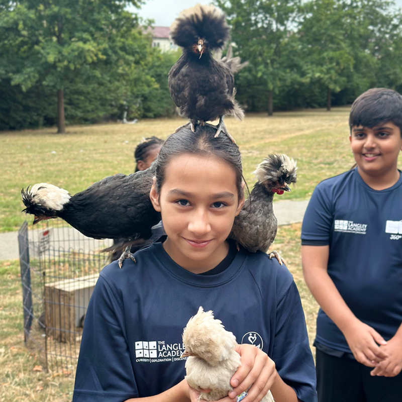 TLA Girl And Chickens